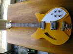 rickenbacker style guitar kit OFF-71